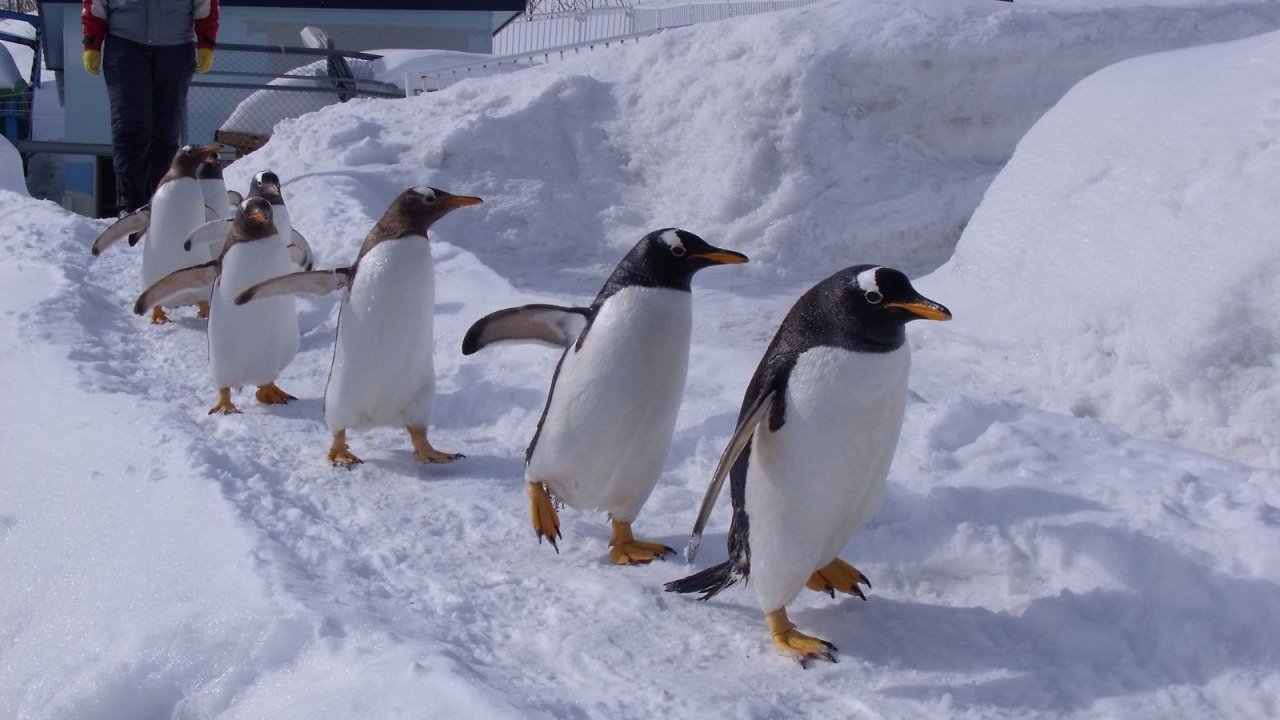 🐠 오타루 수족관 이미지 9